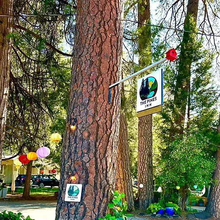 The Pines Inn And Cottages